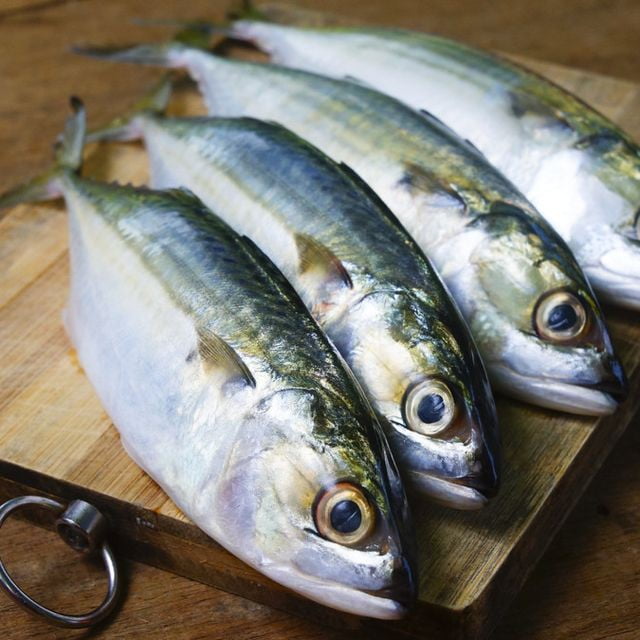 Kembong 6/8 - 10kg